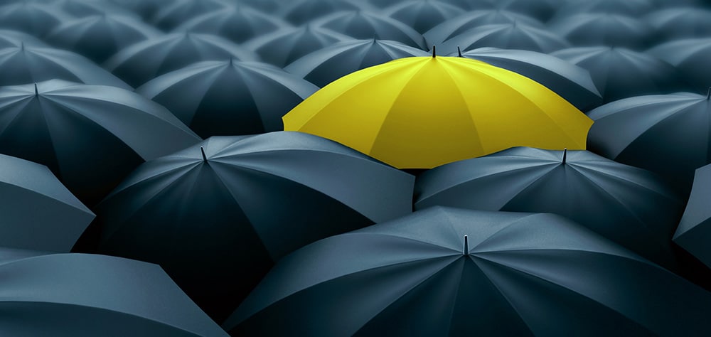 Becoming The Obvious Choice In A Sea of Competition