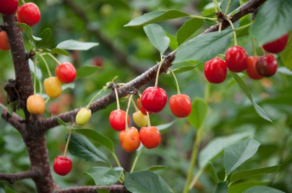 Relationship selling is a myth