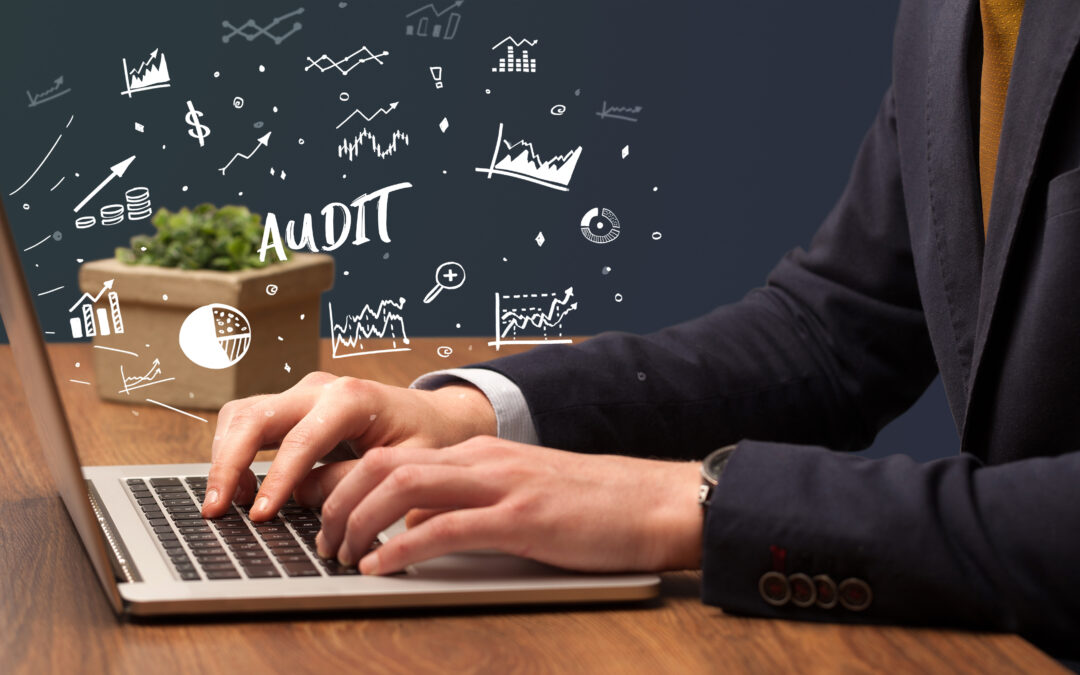 A Beginner’s Guide To HubSpot Audit